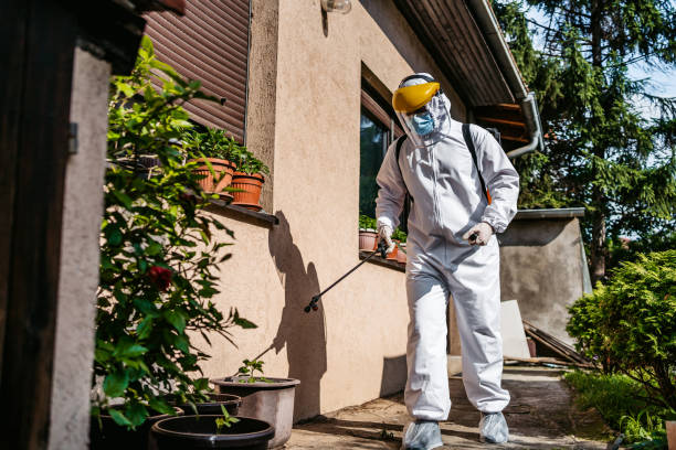 Best Affordable Pest Control Services  in Pontiac, MI