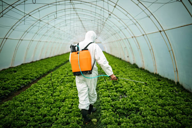 Best Best Pest Control Companies  in Pontiac, MI