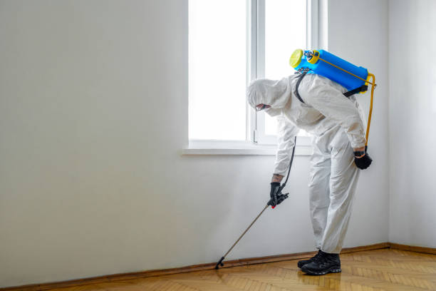 Best Emergency Pest Control  in Pontiac, MI