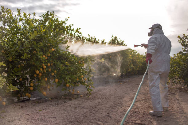 Best Termite Control Services  in Pontiac, MI