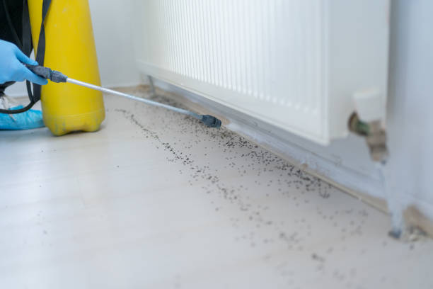 Best Bed Bug Extermination  in Pontiac, MI
